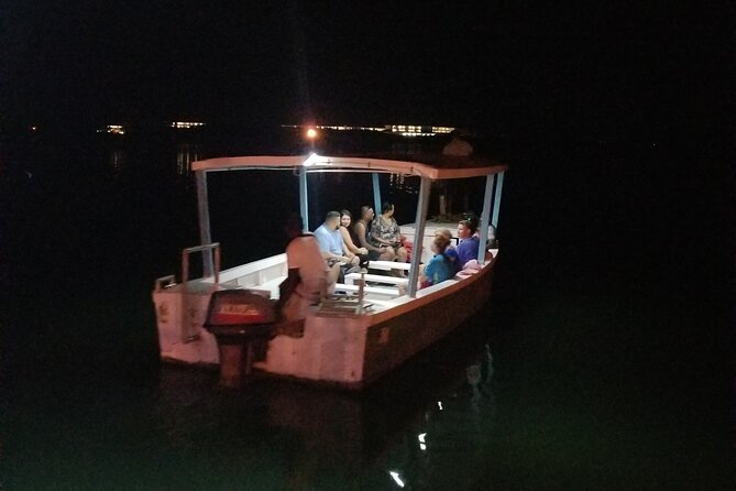Luminous Lagoon Night Tour from Montego Bay - How long you’ll be in the lagoon (and how to make it worth it)