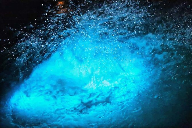Luminous lagoon Night Tour Montego Bay - Getting to Falmouth from Montego Bay: pickup, drive, and night timing