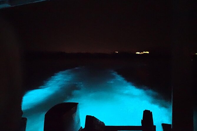Luminous lagoon Night Tour Montego Bay - Fire show plus safety: why the pacing keeps the night fun