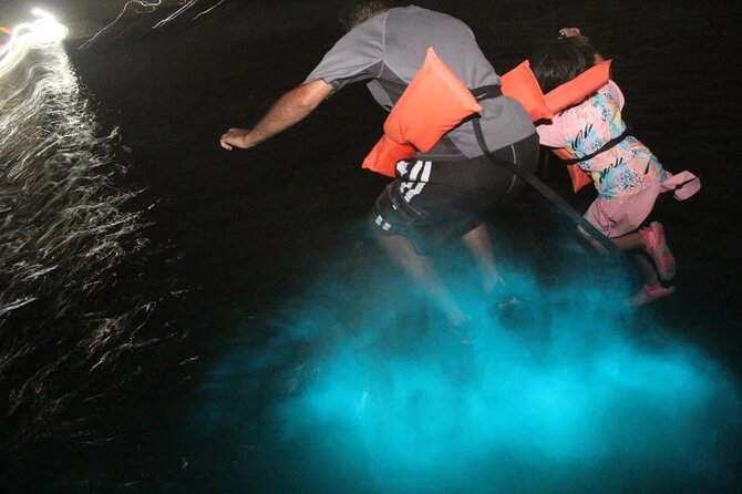 Luminous lagoon Night Tour Montego Bay - Price and value: what $75 buys you (and what to plan for)