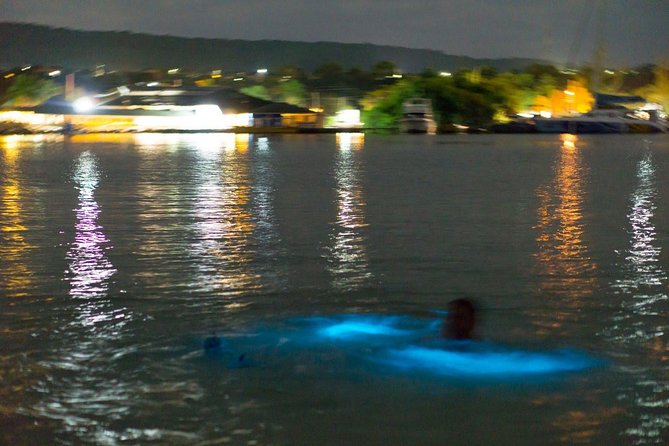 Luminous Lagoon Sightseeing Tour in Montego Bay - Key points before you go