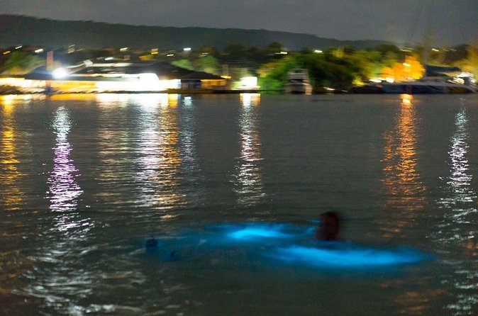 Luminous Lagoon Sightseeing Tour in Montego Bay - Price and logistics: $40 plus a $20 cash cruise