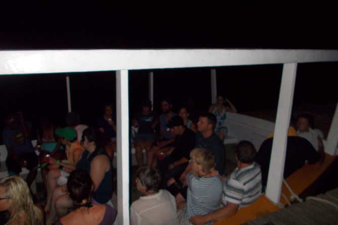 Luminous Lagoon Tour from Montego Bay & Rosehall Hotels - How the Luminous Lagoon glow actually works