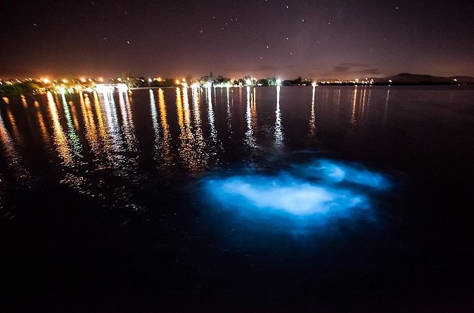 Luminous Lagoon Tour from Montego Bay - The boat cruise on the lagoon: what you’ll do in the water
