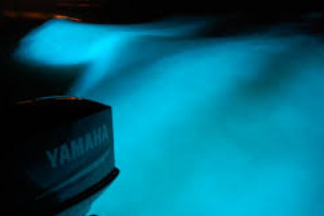 Magical Luminous Lagoon Private Tour - Weather and the lagoon’s glow: the one variable you must respect