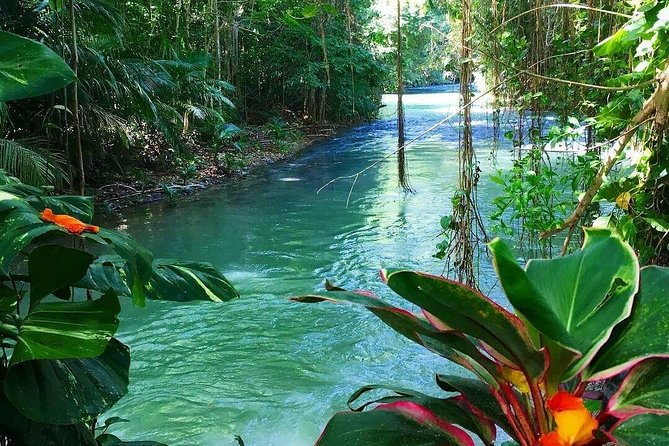 Martha Brae Rafting Adventure - Who this tour suits best (and who may want to choose another plan)