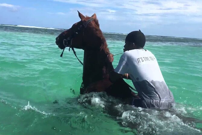 Martha Brae Rafting, Horseback Riding and Luminous Lagoon - Triple Treat - Key things that make this tour worth your time