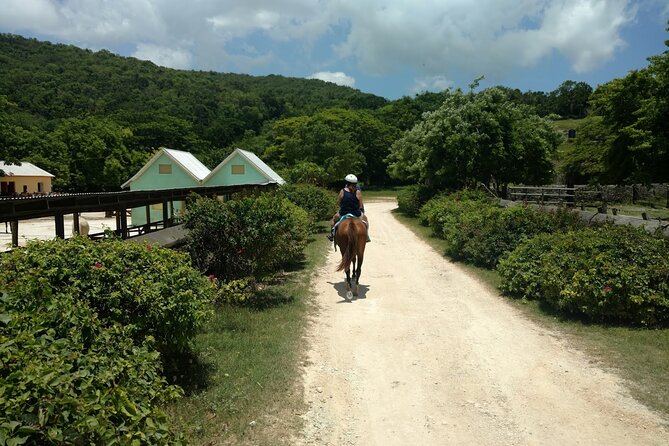 Martha Brae Rafting, Horseback Riding and Luminous Lagoon - Triple Treat - Pickup, timing, and what the private format changes