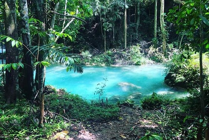 Mayfield Falls, Blue Hole & Rick's Café Tours/Weed Farm option - Timing, What to Wear, and Quick Prep Tips That Save You