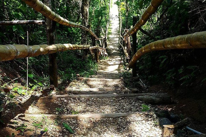 Mayfield Falls, Blue Hole & Rick's Café Tours/Weed Farm option - Mayfield Falls: Pools, Caves, and the Washing Machine