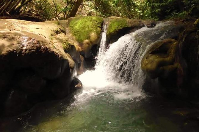 Mayfield Falls nature walk - Quick Takeaways