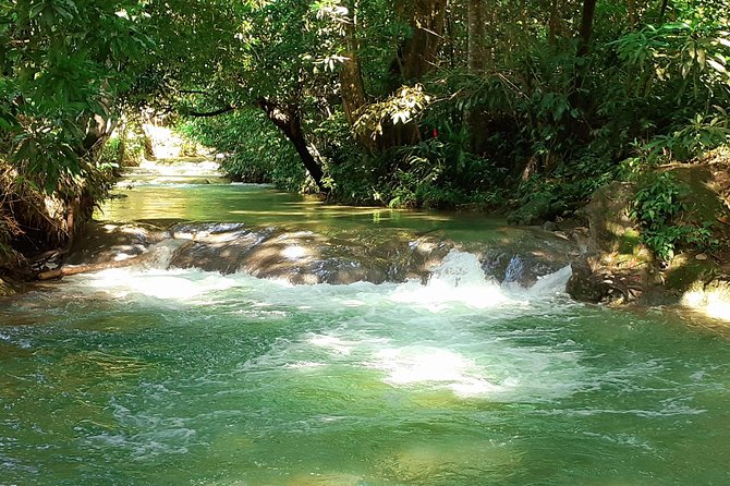 Mayfield Falls nature walk - Why Mayfield Falls Works as a Half-Day Escape
