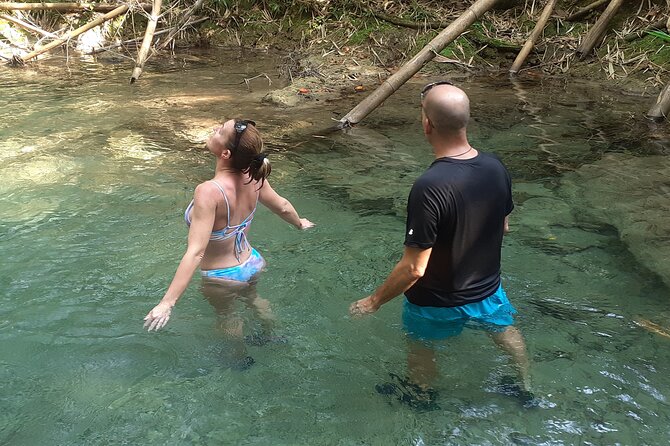 Mayfield Falls nature walk - Stop 1: Mayfield Falls & Mineral Springs Original in Plain English
