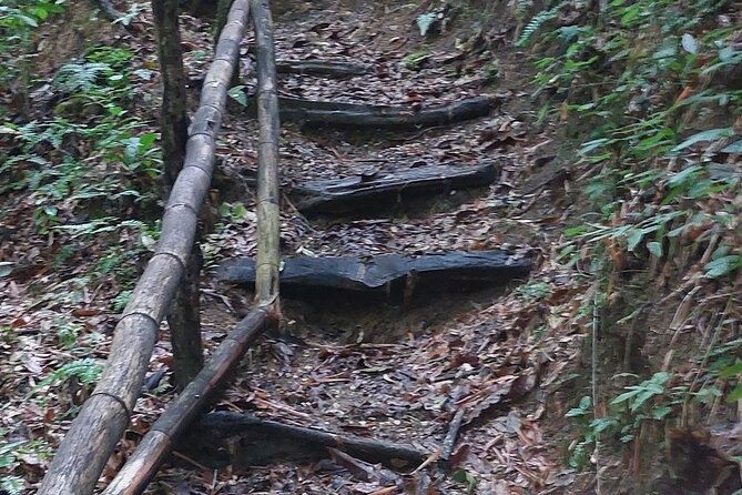 Mayfield Falls nature walk - How Long It Takes and What That Means for Your Day