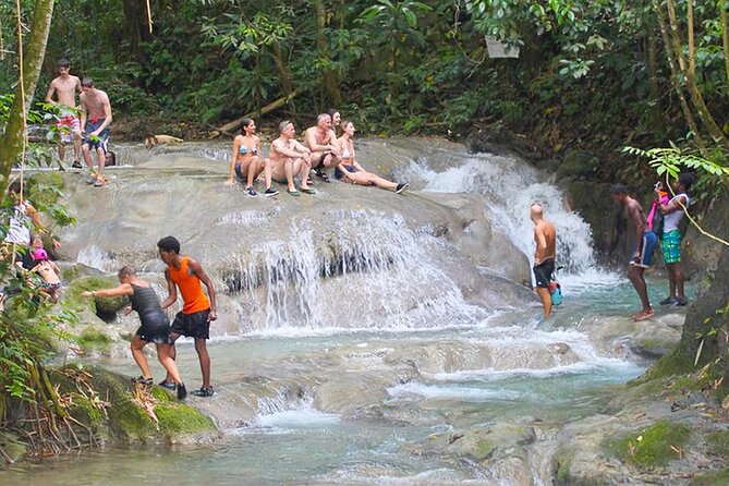 Mayfield Falls Tour with Lunch, drink, Entry & Transp(Original) - Key Highlights You’ll Care About