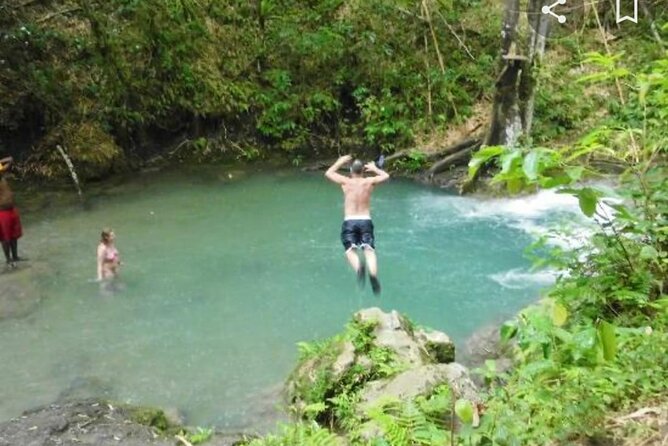 Mayfield Falls Tour with Lunch, drink, Entry & Transp(Original) - Mayfield Falls: What the Water Walk Really Feels Like
