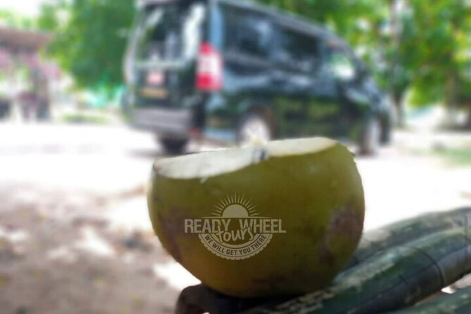MBJ Airport Private Transfer to Rosehall Montego Bay - Pickup at MBJ: No Taxi Shuffle, Just a Clean Start