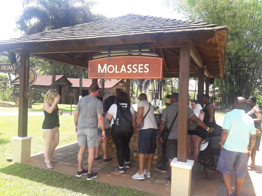 Montego Bay: 8-Hour Appleton & Pelican Bar Return Transfer - The guided walk that turns sugar cane into a real story