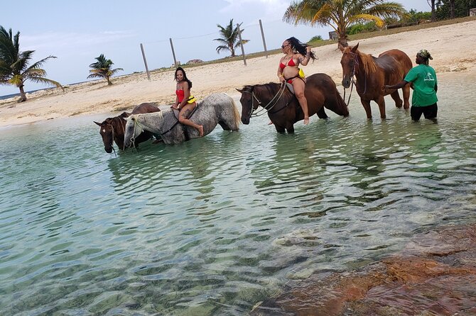 Montego Bay Airport Round Trip Transfer - Booking timing and what you’ll need to know