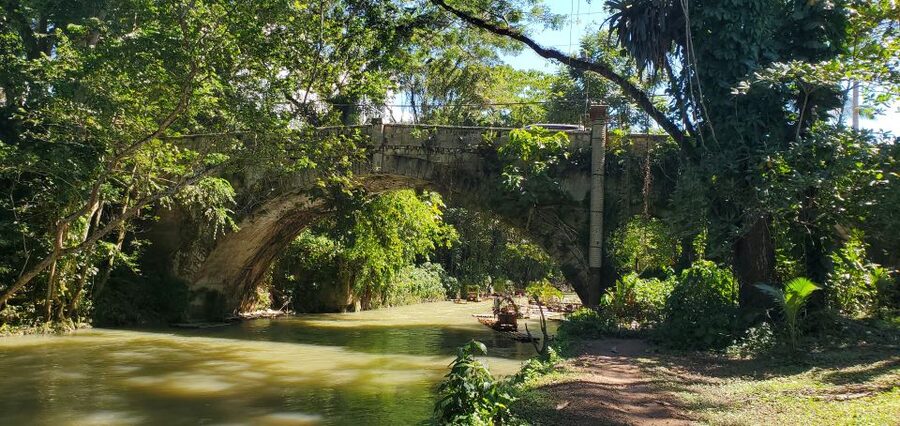 Montego Bay: Bamboo Raft Cruise on the Great River - Should you book Bless Up Tours & Transfers?