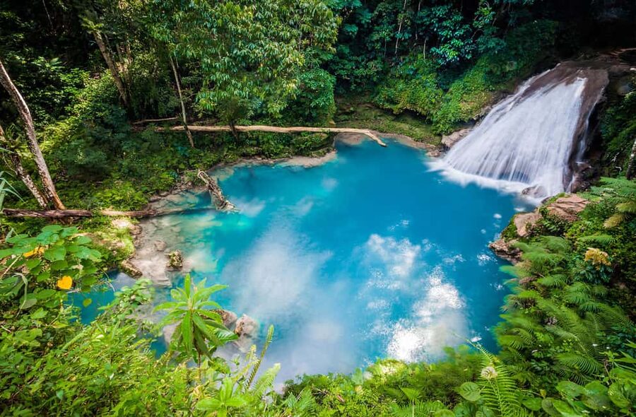 Montego Bay: Blue Hole, Dunn’s River, and Beach Club Trip - Bamboo Beach Club: Tapas Lunch Served to Your Chair and Reggae Relaxation