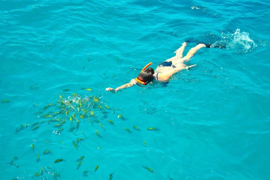 Montego Bay Catamaran Cruise and Snorkeling Tour - Snorkeling from the catamaran: clear water time with real guidance