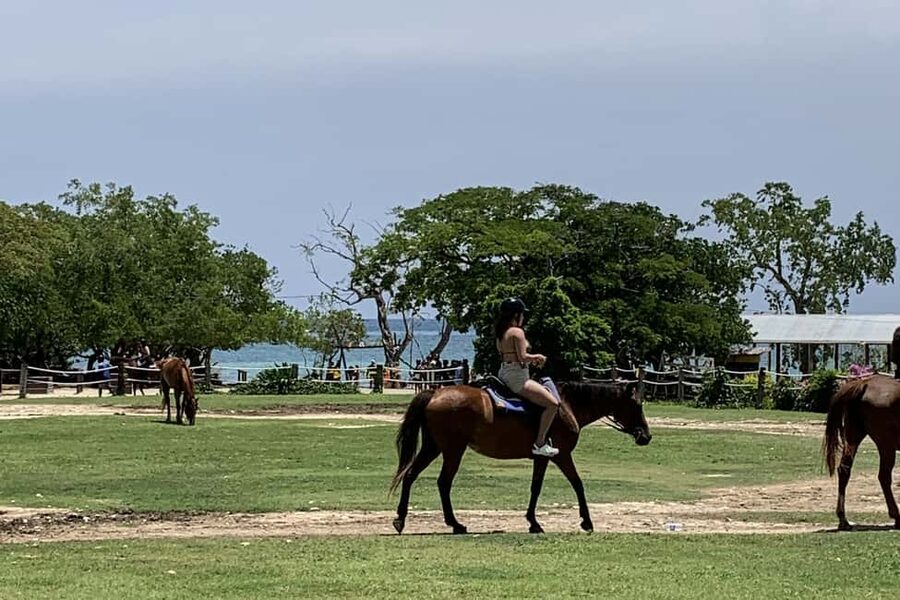 Montego Bay: Day Trip with Zipline, ATV, and Horseback Ride - Price and value: what $401 buys you in a 5-hour day