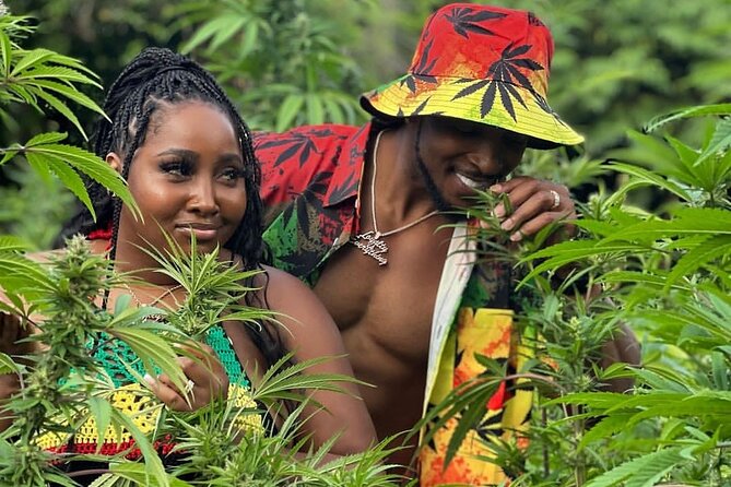Montego Bay Exotic Herbs, Birds and Animals Interaction Tour - Quick hits before you go