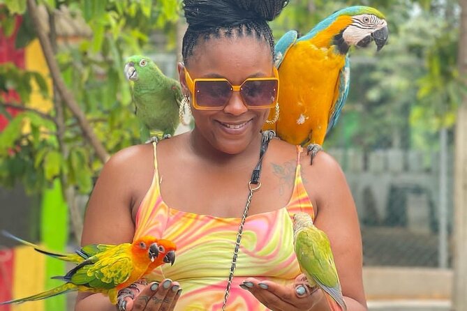 Montego Bay Exotic Herbs, Birds and Animals Interaction Tour - Feeding birds and meeting animals at Ironshore