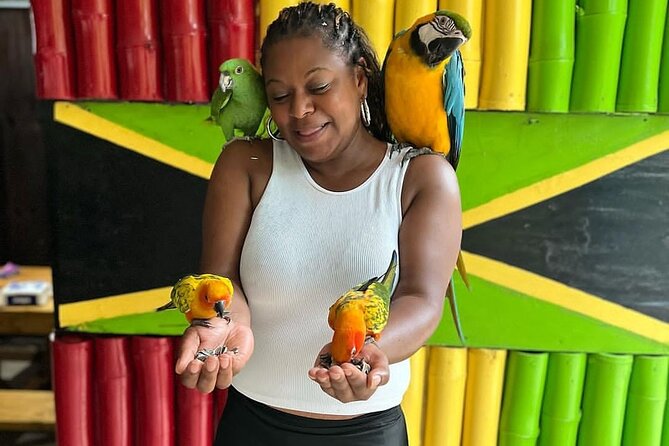 Montego Bay Exotic Herbs, Birds and Animals Interaction Tour - Time, pickup, and group size: fitting it into your day