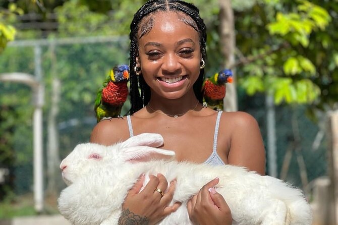 Montego Bay Exotic Herbs, Birds and Animals Interaction Tour - Price check: what $95 buys you in real terms