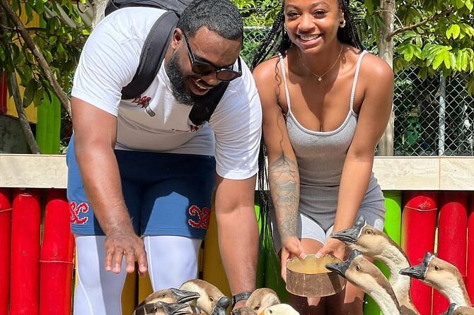 Montego Bay Exotic Herbs, Birds and Animals Interaction Tour - Weather and rain: the main risk to plan around