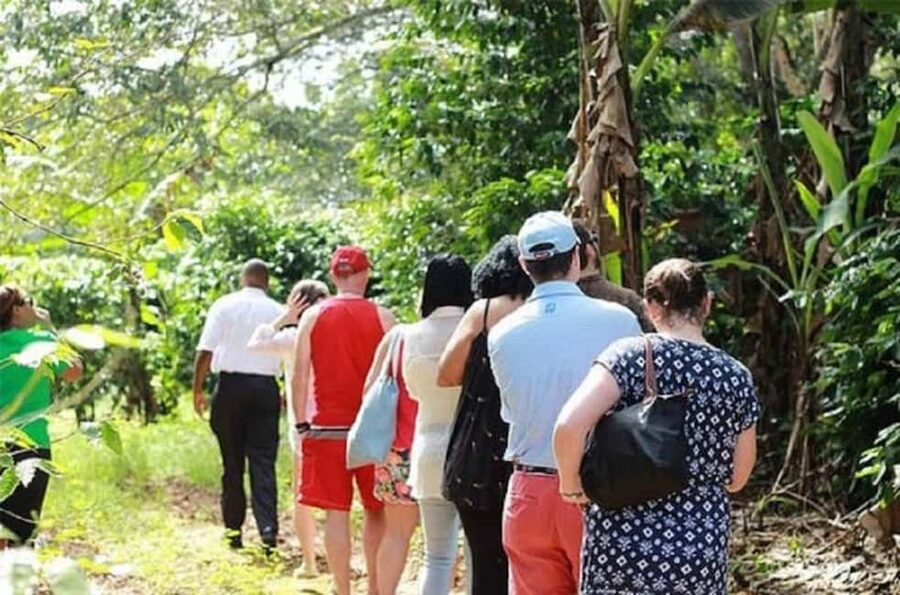 Montego bay Highlight Tour - FAQ