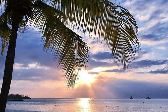 Montego Bay Highlights Tour from Montego Bay - Price and value: is $96.42 per person a good deal?