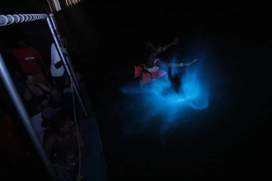 Montego Bay: Luminous Lagoon Evening Boat Tour - The one-hour boat cruise: watching blue light trace your path