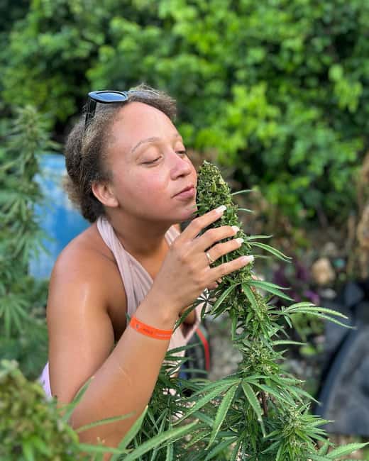 Montego Bay: Marijuana Farm and Bird Sanctuary Tour - Key Things to Know Before You Go