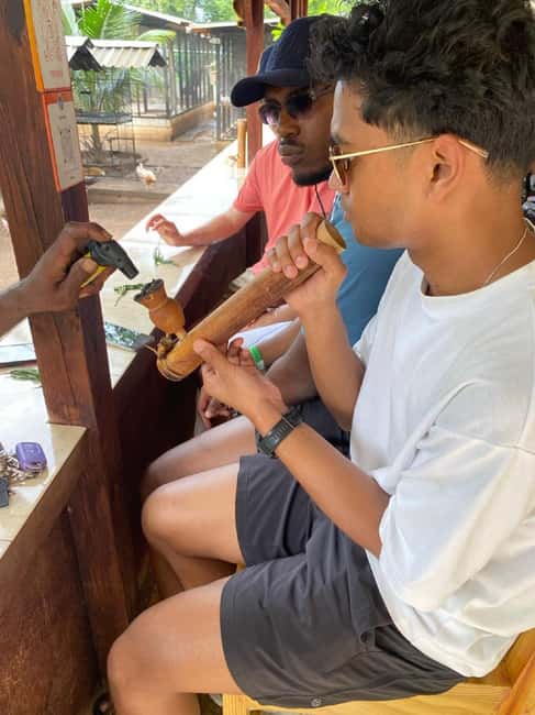 Montego Bay: Marijuana Farm and Bird Sanctuary Tour - Inside the Herb Farm Nursery: Touch, Smell, and the Seed-to-Sale Story