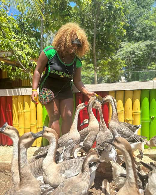 Montego Bay: Marijuana Farm and Bird Sanctuary Tour - Entry Fees and the Math Behind the Price