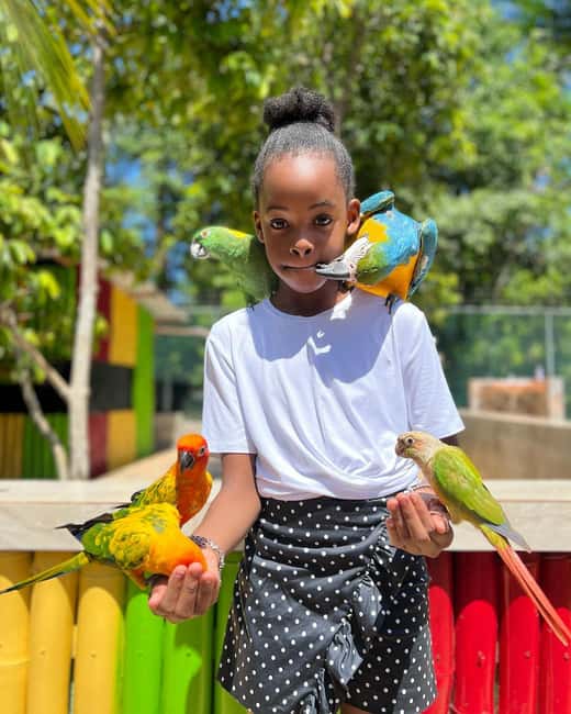 Montego Bay: Marijuana Farm and Bird Sanctuary Tour - Who This Tour Fits Best (and Who Might Be Disappointed)