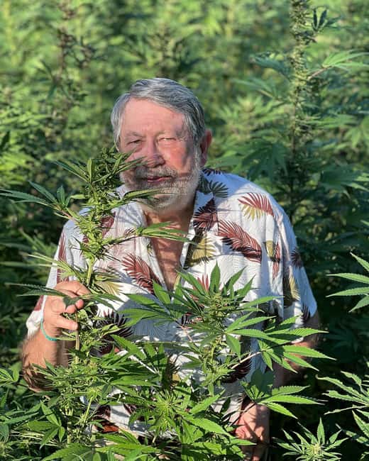 Montego Bay: Marijuana Farm Private Tour with Transportation - Walking the Crop: From Seedlings to Harvest-Ready Plants