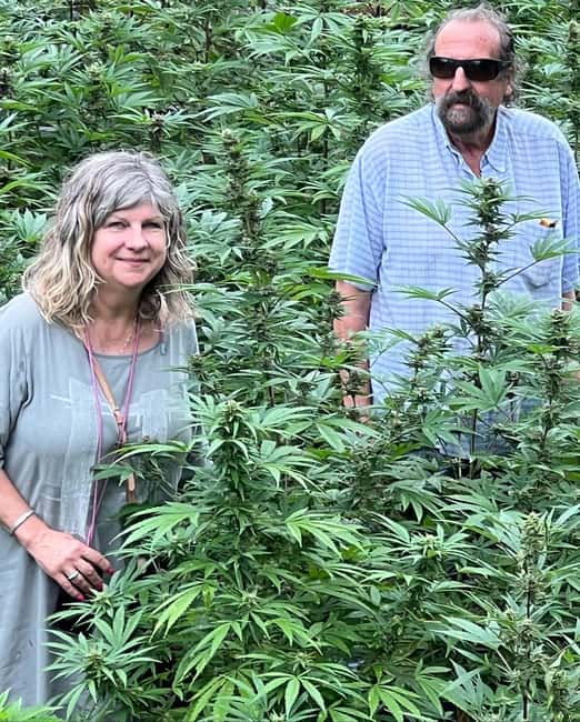 Montego Bay: Marijuana Farm Private Tour with Transportation - The Welcome: Cannabis in Jamaica’s Culture and Economy