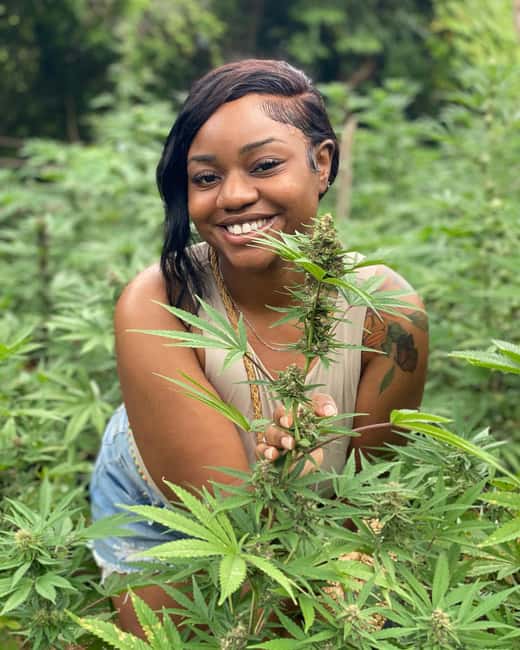Montego Bay Marijuana Farm Tour - Key moments I’d plan around