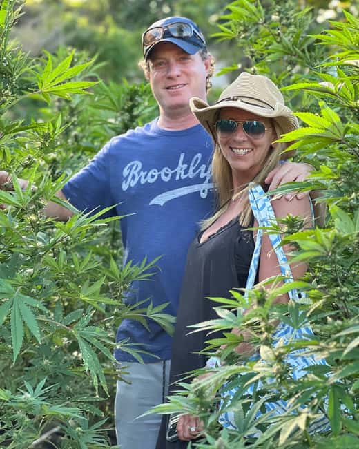 Montego Bay Marijuana Farm Tour - Photo-friendly rows: how to get the shots without turning it into chaos
