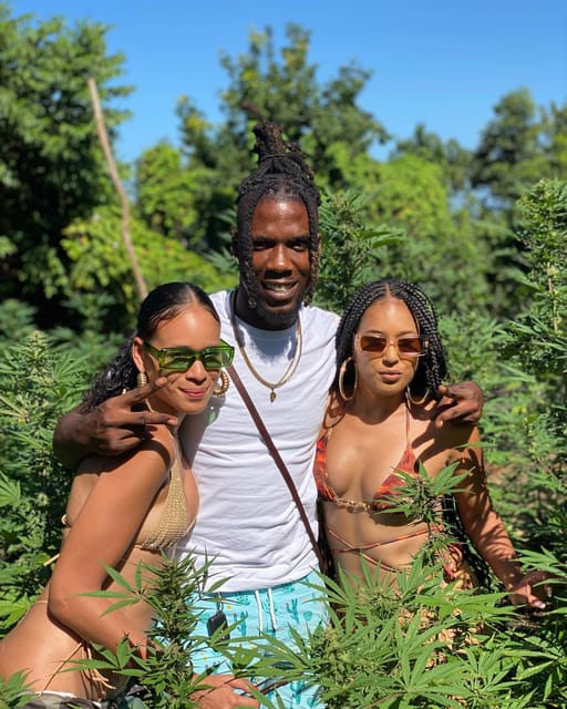 Montego Bay Marijuana Farm Tour - Price and value: is $140 per person worth your time?