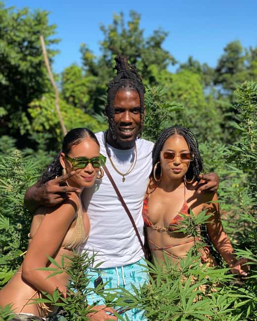 Montego Bay Marijuana Farm Tour - What can change day to day: birds, plant maturity, and sampling