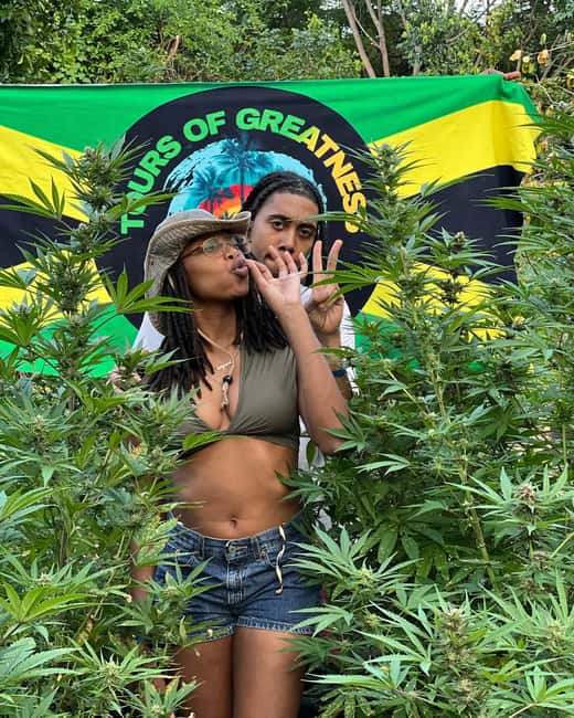 Montego Bay Marijuana Farm Tour - From seeding to harvest: what you’ll actually learn in the fields