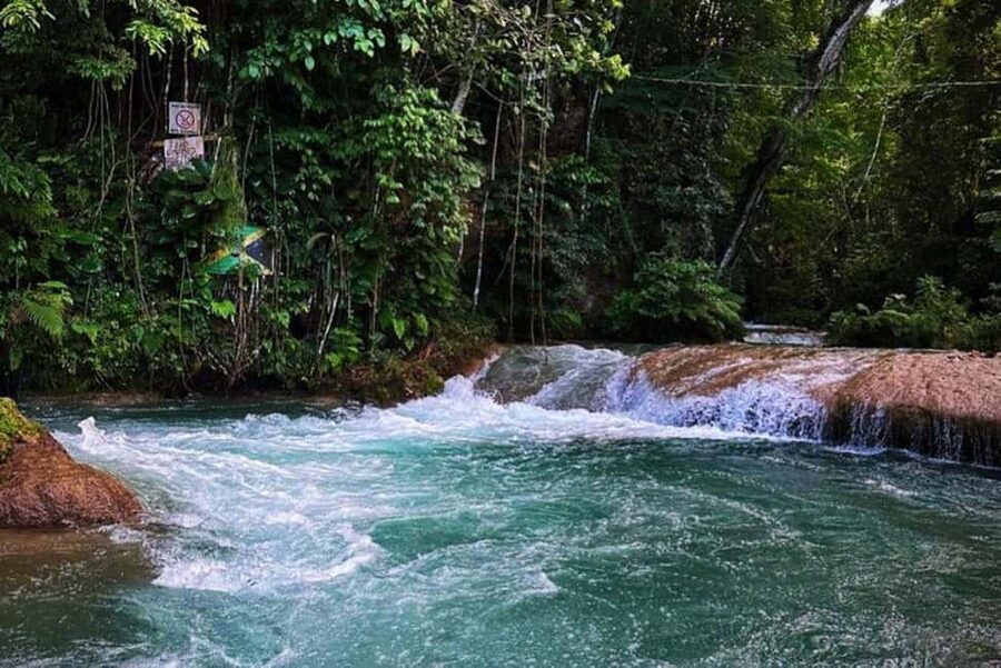 Montego Bay: Private Dunn's River Falls and Blue Hole Tour - What You’re Really Getting: Two Water Attractions in One Tight 4 Hours