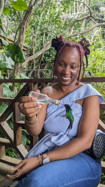 Montego Bay: Private Rocklands Bird Sanctuary Trip - Who this trip suits best