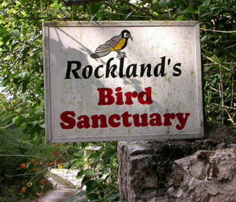 Montego Bay: Private Rocklands Bird Sanctuary Trip - Price and value: what $94 covers (and what can surprise you)