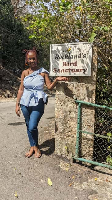 Montego Bay: Private Rocklands Bird Sanctuary Trip - Getting picked up around Montego Bay (and actually finding your driver)